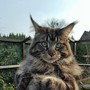 ���� �������, ������� - ��������� 5 ����� 2020 � ������ ���� ����������