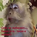 ���� ����������, ������� - ��������� 3 ���� 2020 � ������ ���� ����������
