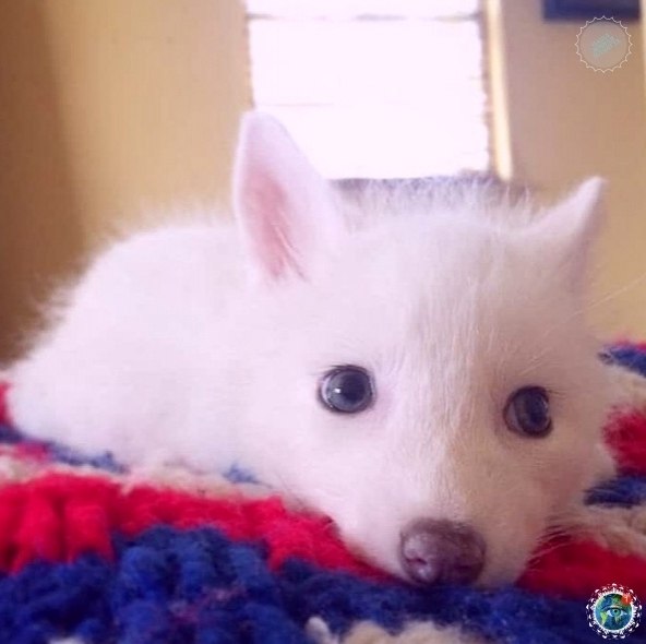 aoc! o Rylai - oo  aa . opc  opc c ... - 3