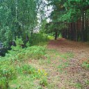 ���� �������, ������ - ��������� 10 ��� 2020 � ������ ������������.�