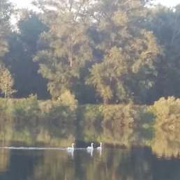 ���� ���, ���, 49 ��� - ��������� 17 ���� 2020