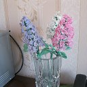 25.01.2020 �� ������� ���� ����������