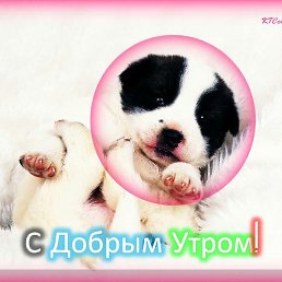 ���� ���������, ���, 65 ��� - ��������� 1 ������� 2020