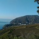 ,,  -  ,13.04.20.7.20.   2020