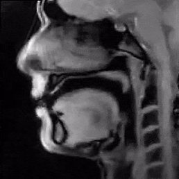 ���� �������, �����-���������, 53 ���� - ��������� 2 ������ 2020