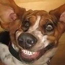  ••,  -  25  2020   