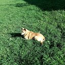 ���� �������, ������, 50 ��� - ��������� 10 ����� 2020 � ������ ���� ����������