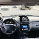 ���� ������, �����-��������� - ��������� 19 ������ 2020