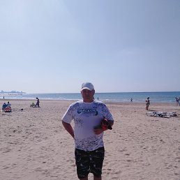 Gogi, ��������