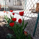 ���� �������, ������, 69 ��� - ��������� 18 ������ 2020 � ������ ���� ����������