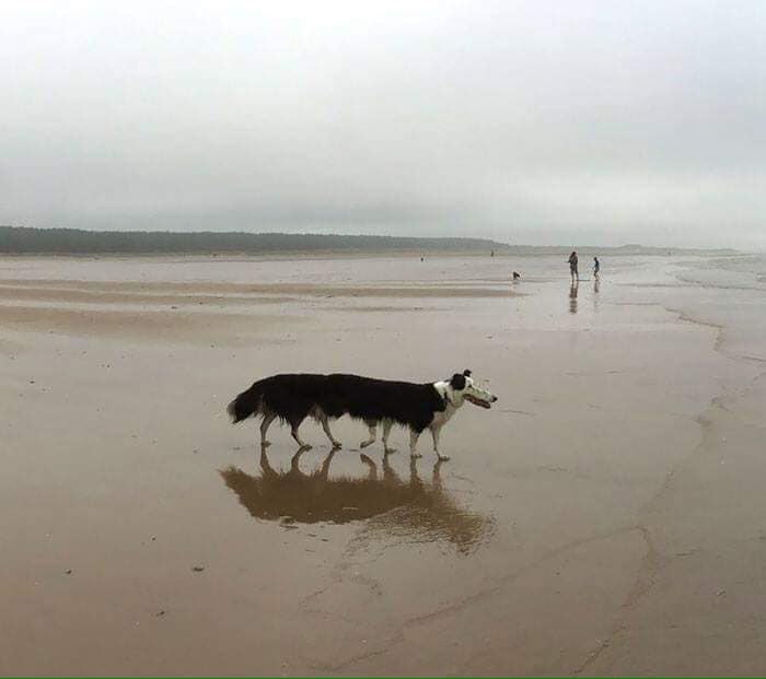 ..   ,     ?