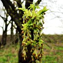 ���� �������, ������ - ��������� 10 ��� 2020 � ������ ������������.�