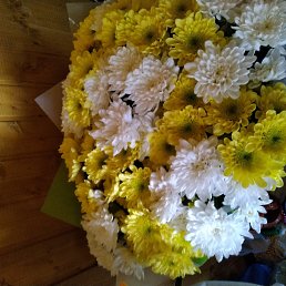 ������, ������, 54 ����