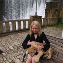  , -, 50  -  17  2020    