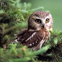 ���� �����, ������, 41 ��� - ��������� 19 ���� 2020 � ������ �������� ��������