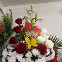 ���� ����� ��������, ����, 46 ��� - ��������� 26 ������� 2020 � ������ ������ ��� ��� �����