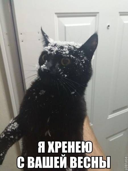 ������� - 14 ������ 2020 � 18:27