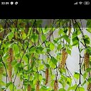 ���� �����, ���� - ��������� 4 ������ 2020 � ������ ������ ��������