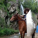 ���� ������, ������������, 73 ���� - ��������� 29 ������ 2020 � ������ ���� ����������