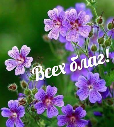   ,    . - 2  2020  15:57