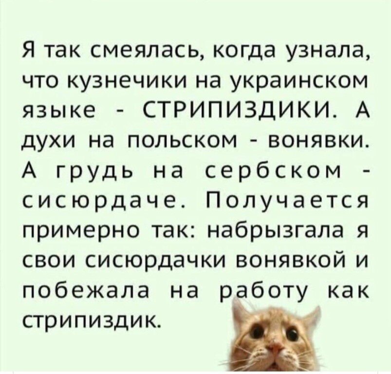 Стрипиздик это. Я так смеялась когда узнала что Кузнечики на украинском. Кузнечик на украинском языке. Кузнечик на украинском прикол. Как по-украински будет кузнечик.