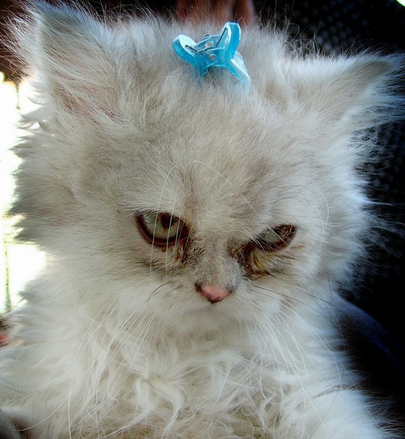       ,            ... - 2