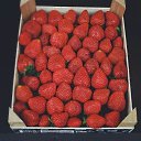 ���� ����, ���������, 47 ��� - ��������� 29 ���� 2020 � ������ ���� ����������