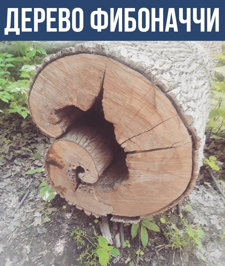   - 28  2020  21:18