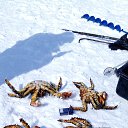 ���� ����, ����-���������, 36 ��� - ��������� 26 ���� 2020 � ������ ���� ����������