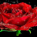 ���� Olka, ��������� - ��������� 22 ������� 2020 � ������ ���� ����������