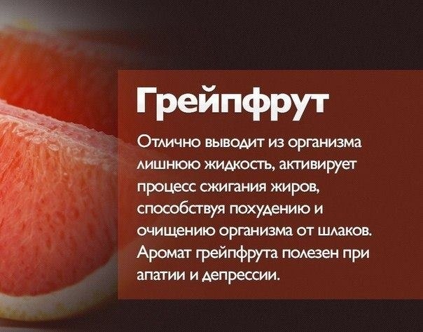 ������ ��������� ��� ��������� - 3