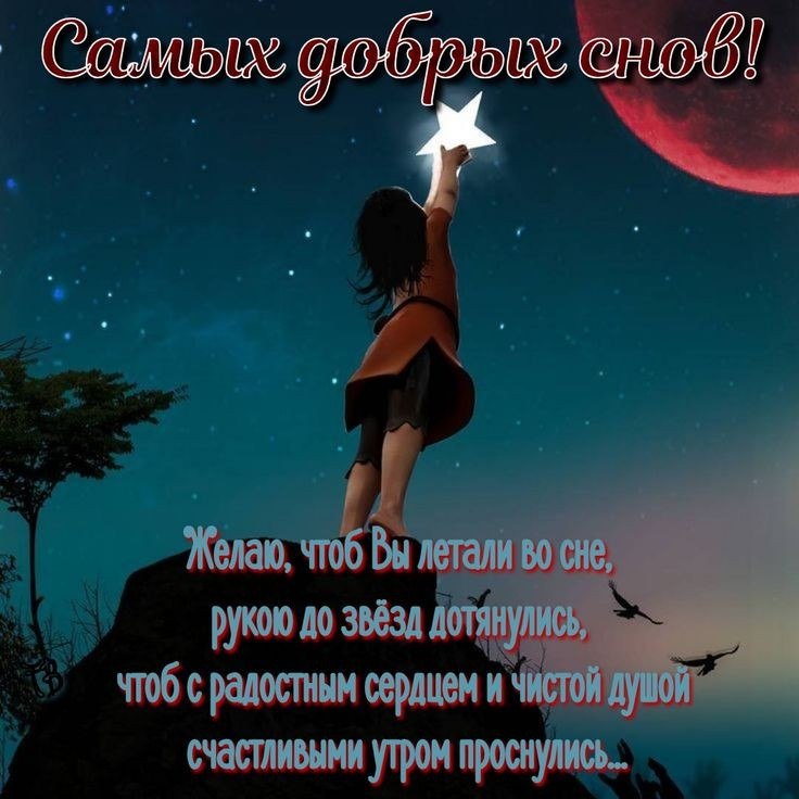   ,    . - 27  2020  22:08 - 5