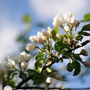 ���� ������, �������������-���������� - ��������� 1 ���� 2020 � ������ ����� ��� � ��� ���� ������...�