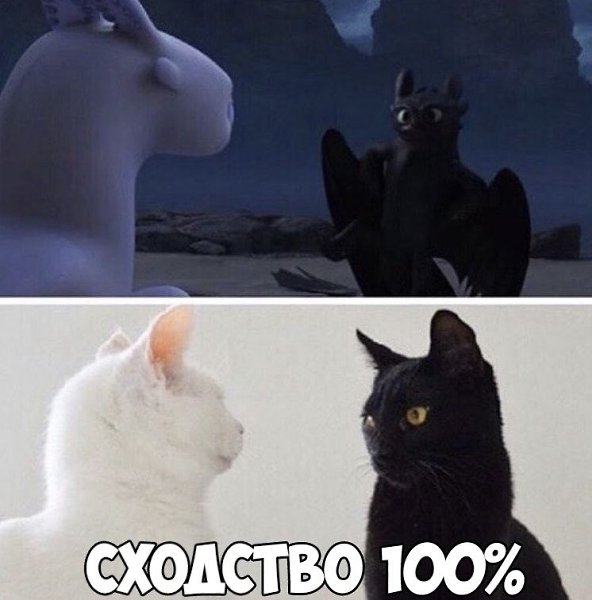 ������ �� ��� :D - 18 ������ 2020 � 18:47