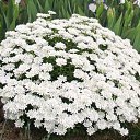 ���� ��������, ������ - ��������� 16 ���� 2020 � ������ ���� ����������