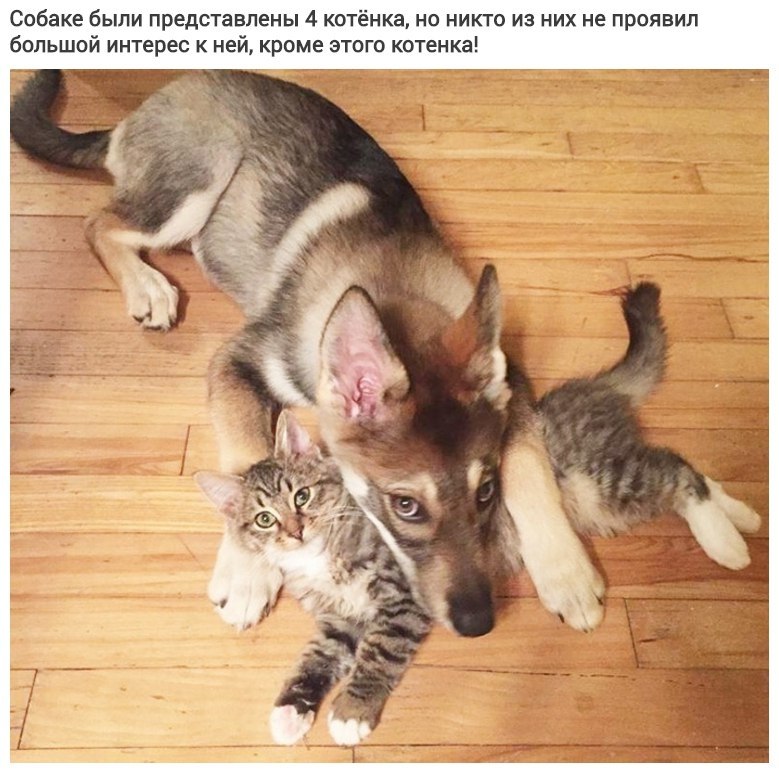 o   oo ooo o, o  o  . - 2