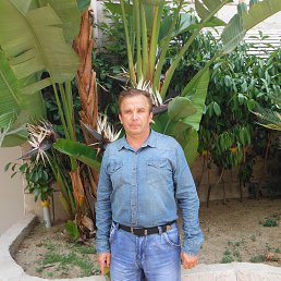 ������, ������ ��������, 65 ���