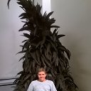  , -, 45  -  28  2020