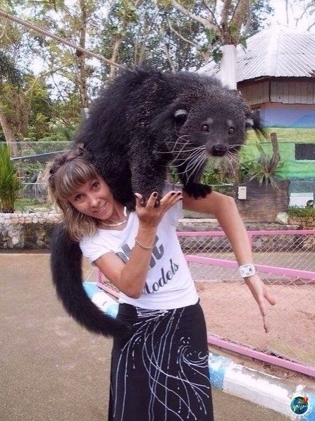 p   ec   ,    e? - 3