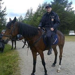 ������, ������������, 45 ���