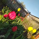 ���� ����, ������������, 62 ���� - ��������� 17 ��� 2020 � ������ �������