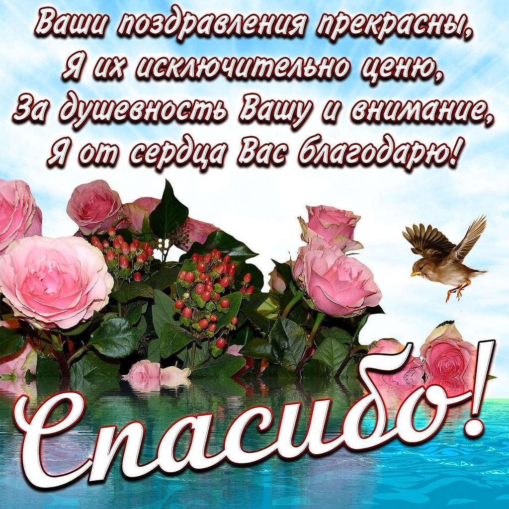   ,    . - 11  2020  16:34 - 6