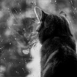 �����, ������, 27 ���