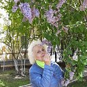 ���� ������, �����������, 71 ��� - ��������� 28 ��� 2020 � ������ ���� ����������
