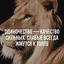 ���� Alekcandr, ������ - ��������� 28 ���� 2020 � ������ ������ ��������