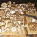 ���� �������, ������, 47 ��� - ��������� 29 ���� 2020 � ������ ������ ��������
