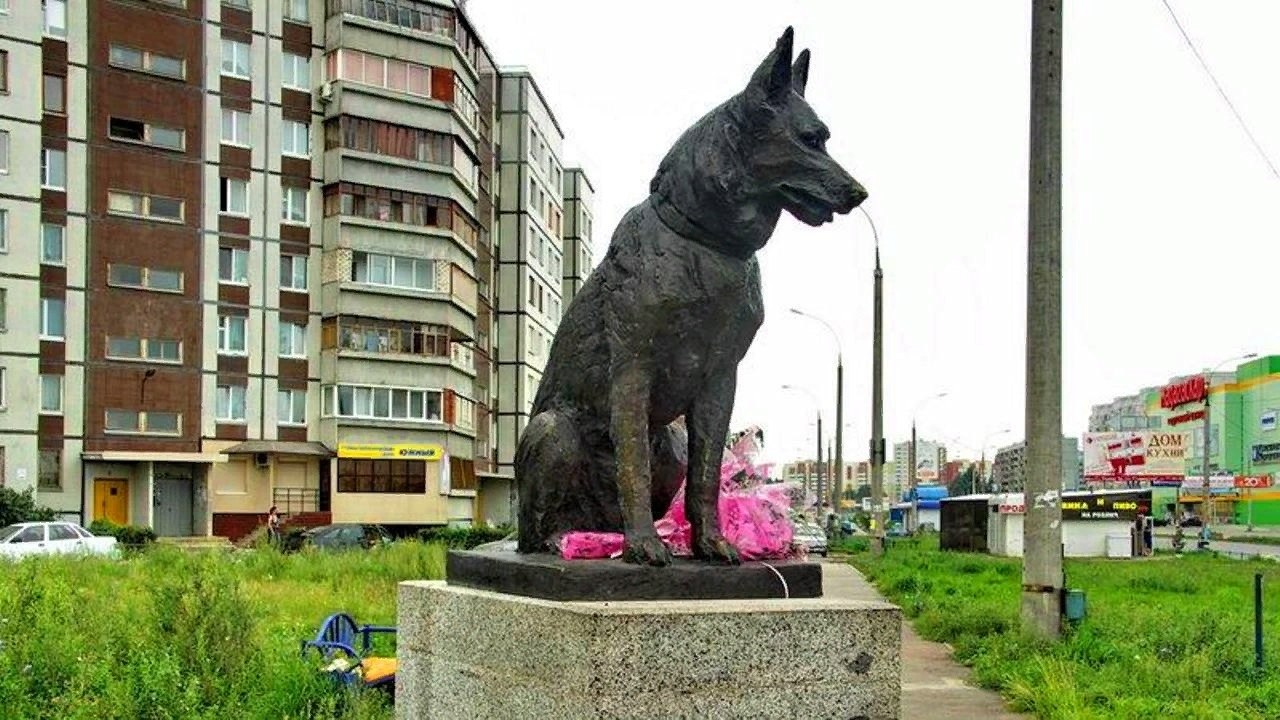 Памятник преданности Тольятти. Памятник собаке Косте в Тольятти. Памятник верности в Тольятти.