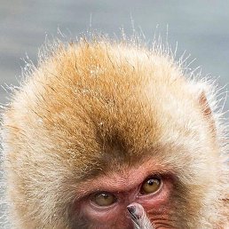 ���� �����, ��������, 31 ��� - ��������� 17 ��� 2020