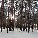 ���� ��������, ������ �������� - ��������� 9 ������� 2020 � ������ ���� ����������