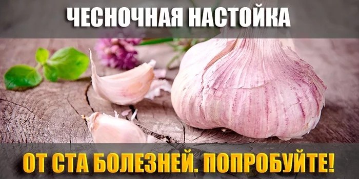 Чесночная настойка от ста болезней.В прозрачную бутылку положить 12 зубчиков чеснока, каждый ...